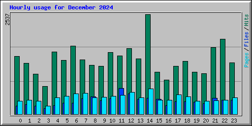 Hourly usage for December 2024
