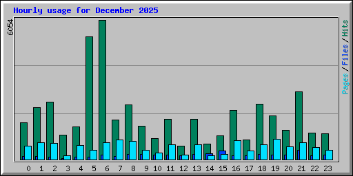 Hourly usage for December 2025