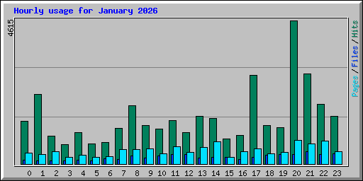 Hourly usage for January 2026
