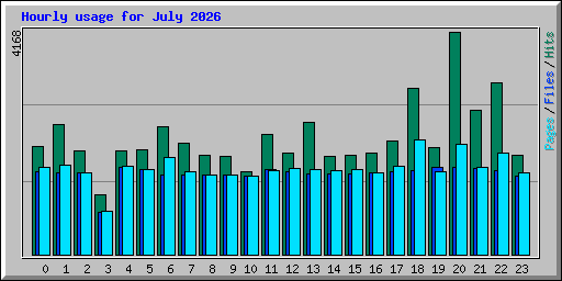 Hourly usage for July 2026